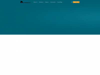 amerainternational.org snapshot