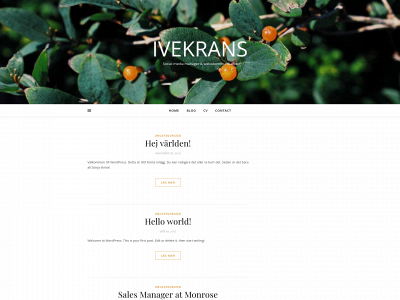 jessicaivekrans.se snapshot