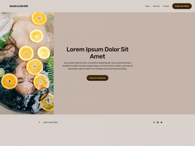 salonclaudnine.nl snapshot