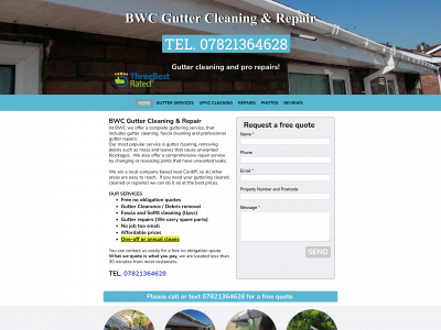 bwcguttercleaning.co.uk snapshot
