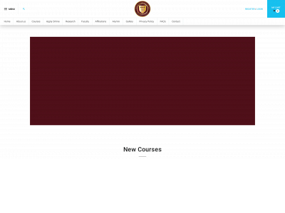 ssstudies.com snapshot