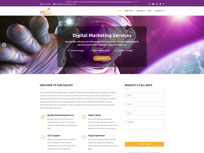 www.stellarmarketingpro.com snapshot