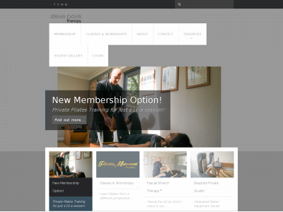 stevepavistherapy.co.uk snapshot
