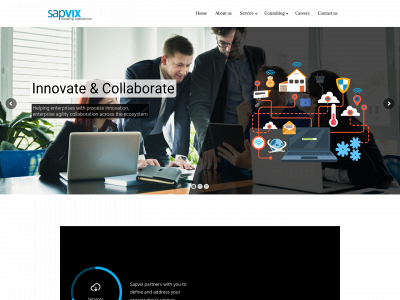 sapvixca.com snapshot
