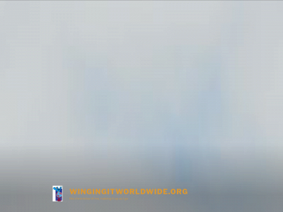 wingingitworldwide.org snapshot