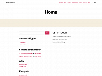 towe-syring.se snapshot