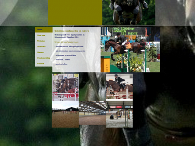 stalvanballegooijenschotman.nl snapshot