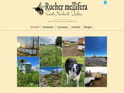 ruchermellifera.com snapshot