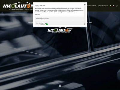 nicolauto.it snapshot