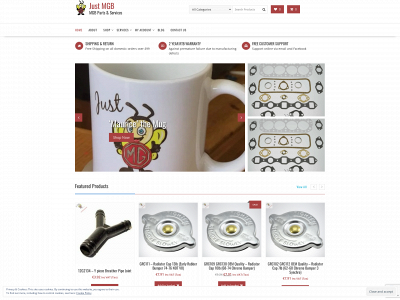 just-mg.com snapshot