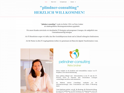 pelindner-consulting.de snapshot