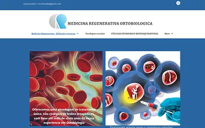 plasma-rico-plaquetas.com snapshot