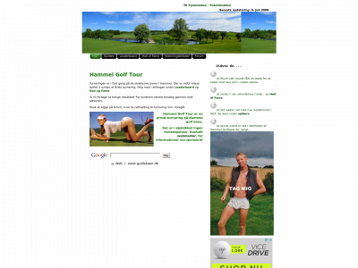 guldskeen.dk snapshot