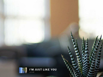teensandme.com snapshot