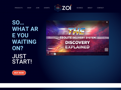 zoiglobal.com snapshot