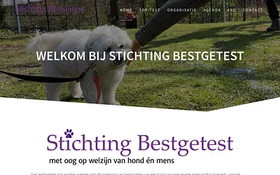 top-test.nl snapshot