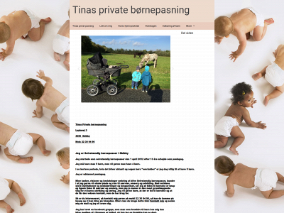 tinasprivatepasningsordningskibby.dk snapshot