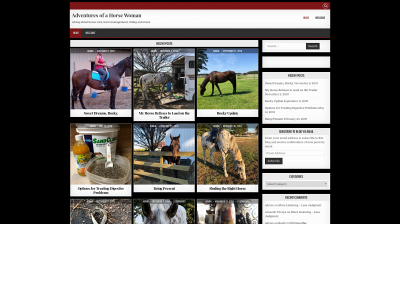 a-passion4horses.com snapshot
