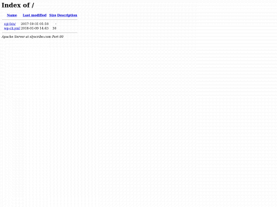 slyscribe.com snapshot