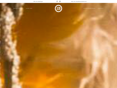 tfmbrassband.com snapshot