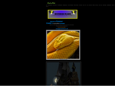 gunnarlinde.com snapshot