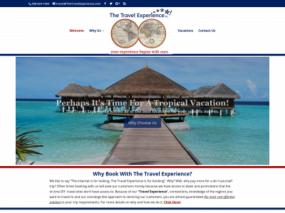 thetravelexperience.com snapshot