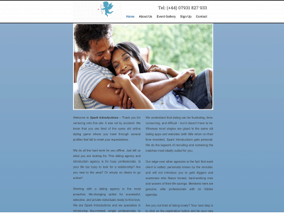 sparkintroductions.com snapshot