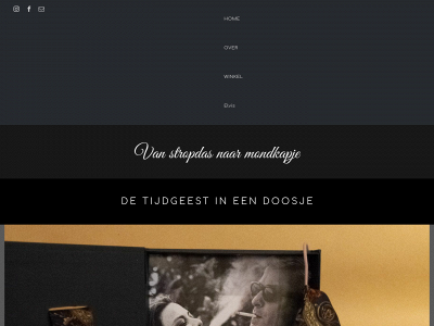 zijdenmondkapje.nl snapshot