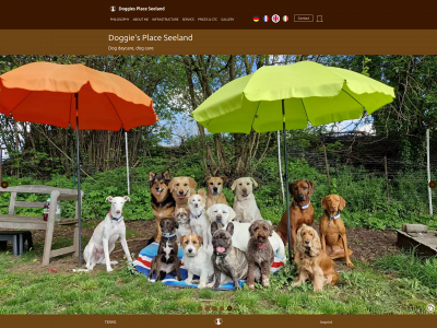 doggies-place-seeland.ch snapshot