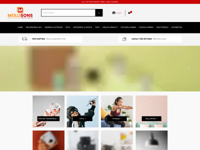 mollisonsstores.com snapshot