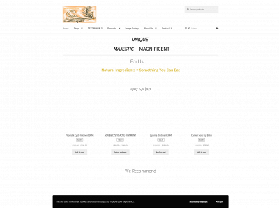 beautyadequate.co.nz snapshot