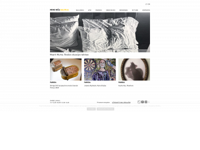menonisa.lt snapshot