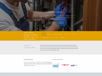 www.mccarronplumbing.ie snapshot