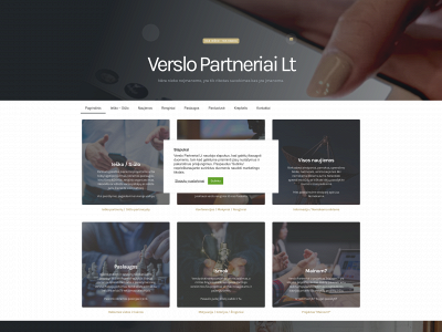 verslopartneriai.lt snapshot