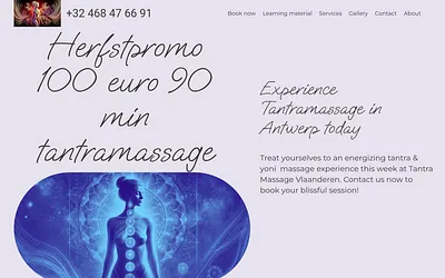 tantramassagevlaanderen.com snapshot