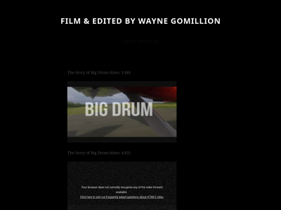 waynegomillion.com snapshot