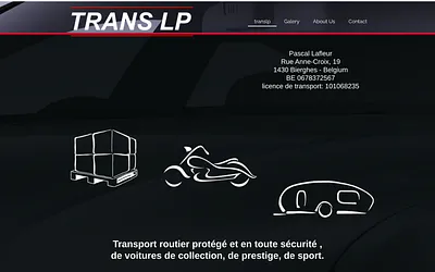 translp.be snapshot