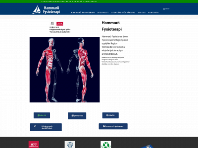 hammarofysio.se snapshot