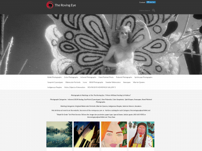 therovingeye.net snapshot
