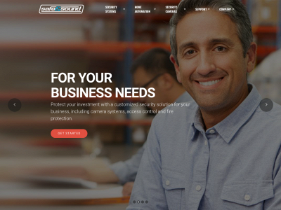 safeandsoundpros.com snapshot