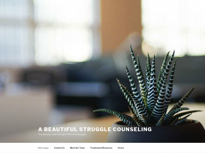 abeautifulstrugglecounseling.com snapshot