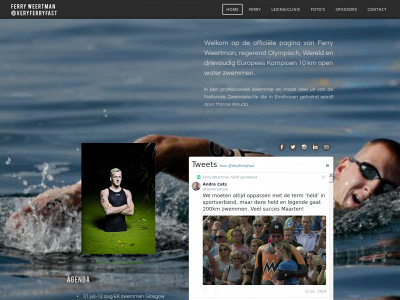 www.ferryweertman.nl snapshot