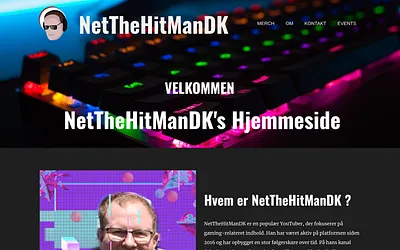 netthehitman.dk snapshot