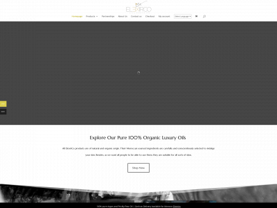 elexirco.com snapshot