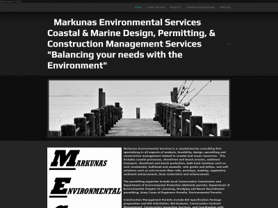 markunasenvironmentalservices.com snapshot