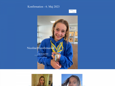 wiidsvarrer.dk snapshot