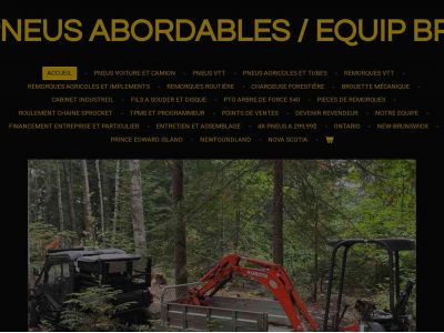 pneusabordables.ca snapshot