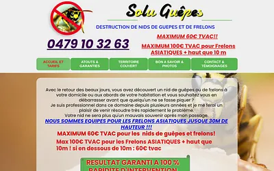 soluguepes.be snapshot