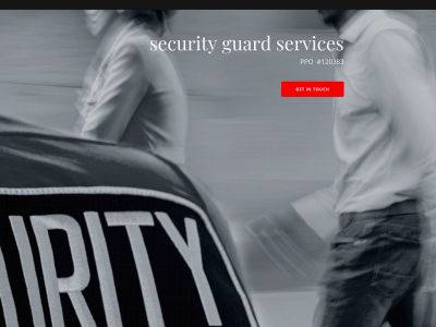 hayventzsecurity.com snapshot