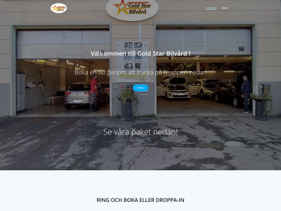 goldstarbilvard.se snapshot